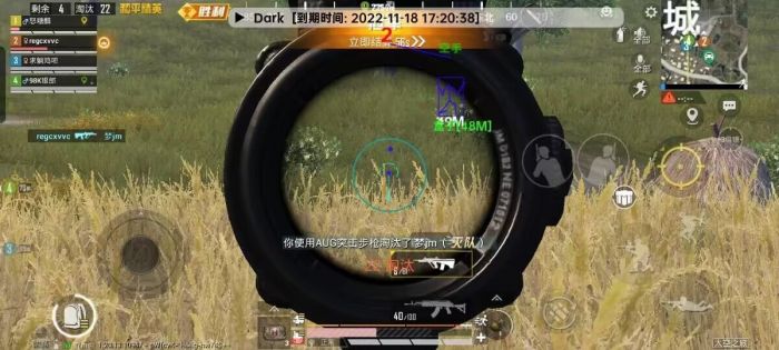 和平精英挂+锁头+透视+锁血 - 全功能辅助合集